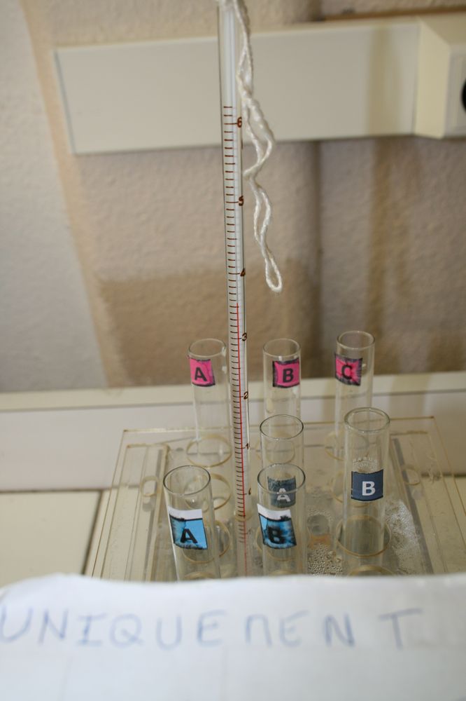 gal/LES_CINQUIEMES/ACTIVITE DIGESTION IN VITRO/Groupe_05/Groupe05_T_00h00min/Groupe05_T_00h_00min_13.JPG